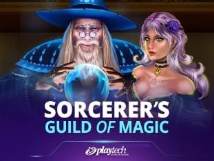 Sorcerer's Guild Of Magic game screenshot